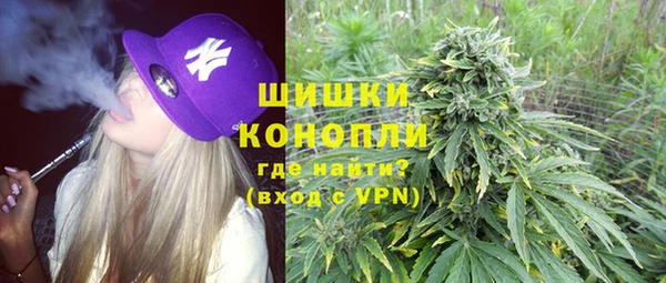 амф Арсеньев