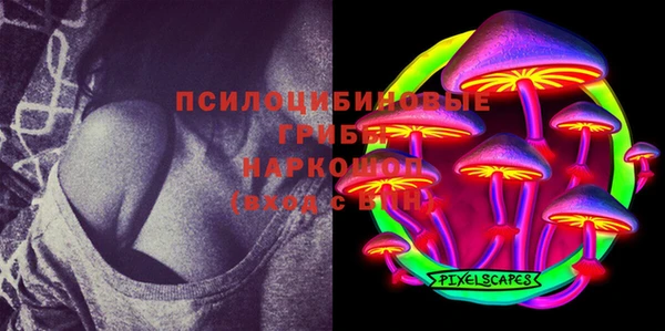 МДПВ Аркадак